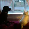 markgrimshaw445 - @markgrimshaw445 - TikTok