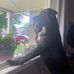 Mark Grogg - Facebook