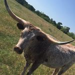 Mark_grove - @mark_grove - Instagram
