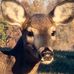 Mark Grow - Facebook