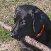 Mark Grube - @mark.grube - TikTok