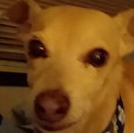 Mark Guffey - Facebook