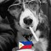 Mark Gullo - Facebook
