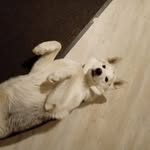 Mark Günther - @markgunther53 - Instagram