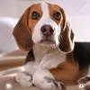 Mark_g.us - @mark_g.us - TikTok