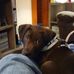 Mark Gwilt - Facebook