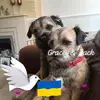 Mark Hadley - @mark.hadley70 - TikTok