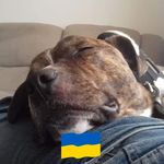 Mark Haigh - @mark.haigh.37 - Instagram