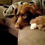 Mark Haigh - @markh161 - Instagram