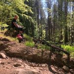 Mark Haigh - @markhaigh7529 - Instagram