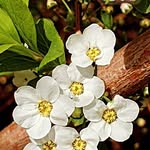 ma.yan - @mar.khakesh - Instagram