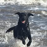 Mark Haley - @markhaley456 - Instagram