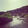 Mark Haller - @winklebort - TikTok