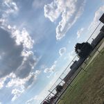 Marky Mark - @markhallows123 - Instagram