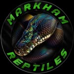 Kyle Markham - @markhamreptiles - Instagram
