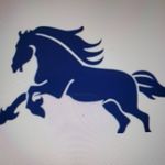 Markham Elementary - @markhammustang - Instagram