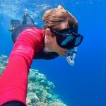 Mark Hamann - @markhamann_turtle - Instagram