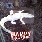 Mark Hamann - @mark.hamann.756 - Instagram