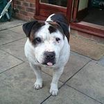 Mark Hamer - @hamer855 - Instagram