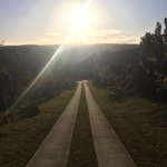 Mark Hamlin - @mark.hamlin - Instagram