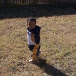 Mark Hamlin - @mhamlin77 - Instagram
