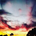 Mark Hammers - @markinthedark6 - Instagram