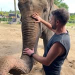 Mark Hammill - @mark.h.82 - Instagram
