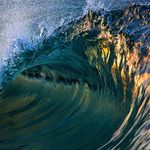 Mark Hamrick - @blacklab711 - Instagram