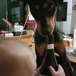 mark handy - @markhan4222 - Instagram