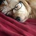 Mark Hanley - Facebook
