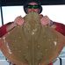 Mark Hanley - Facebook