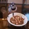 Mark Hansen579 - @markhansen579 - TikTok