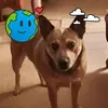 Mark Hanson - @mark.hanson1 - TikTok