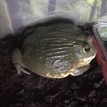 Mark Hardisty - @hardisty2276 - Instagram
