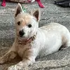 Mark Harkins - @mark.harkins4 - TikTok