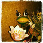 mark harmer - @harmer1969 - Instagram