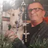 Mark Harland - @mark.harland8 - TikTok