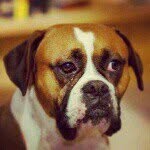 John Mark Harrelson - @mark_harrelson - Instagram