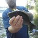 Mark Harrelson - Facebook