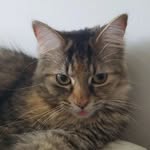 Mark Harrod - @mark101264 - Instagram