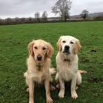 Mark Harrod - @harrod.mark - Instagram