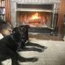 Mark Harshman - Facebook