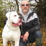 Mark Hartfield - @mark_hartfield - Instagram