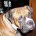 Mark Hartline - Facebook