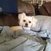 Mark Hartung - Facebook