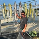 Mark Harvey - @markharvey31 - Instagram