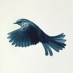Mark Harvey - @markharveyprints - Instagram