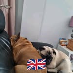 Mark Hash - @mark_hash2 - Instagram