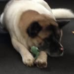 Mark Haswell - @mark.haswell.509 - Instagram