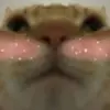 Mark-hatch17 - @markhatch176 - TikTok